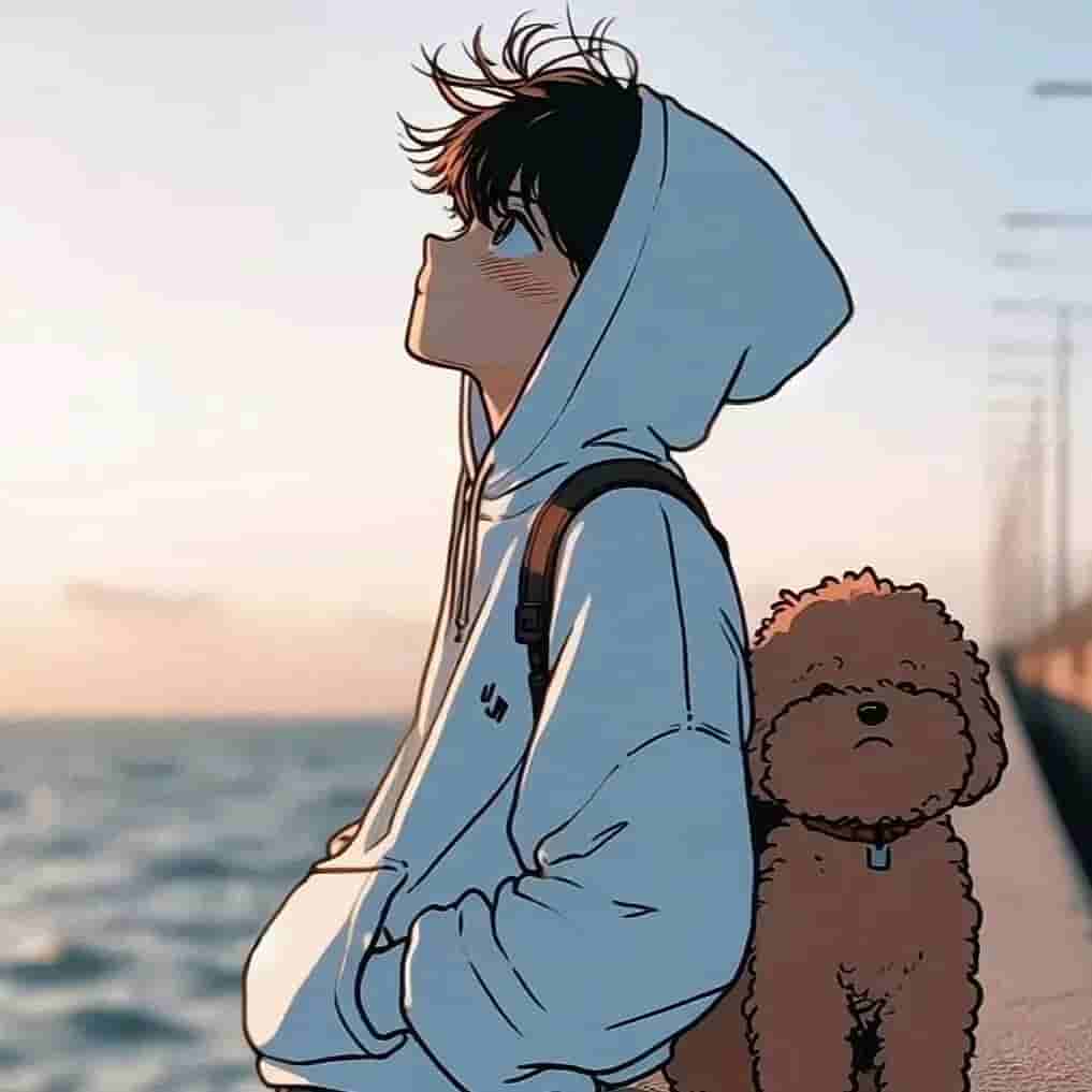 01月06日更新：2026最新香港Apple ID账号密码共享